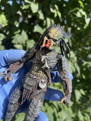 Neca Wolf Predator Custom. No Mask, Slightly Upgraded Joints, Few Accessories