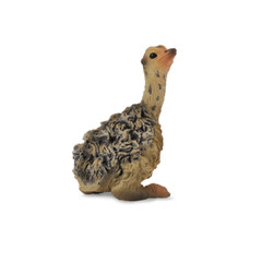 CollectA Realistic Animal Replica Ostrich Chick Sitting Figure Small Ages 3+