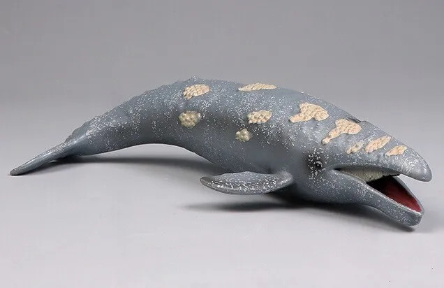 Gray Whale Sea Animal Toy PVC Action Figure Doll Kids Toys Party Gifts