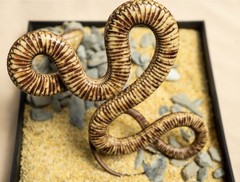Snake Gorge Egyptian Cobra Figure Naja Haje Animal Model Adult Xmas Gift Toys