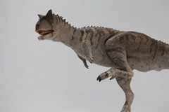 MEMORY MUSEUM 1/15 Carnotaurus Limited Edition Dinosaur Model Figure Toys Gift