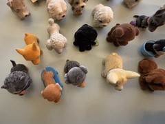 Kitty Puppy Zoo In My Pocket Assorted 34 Flocked Figures Used