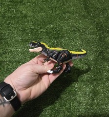 Zuru 5 Surprise Dino Strike Series 4 Jurassic T-REX 6 In