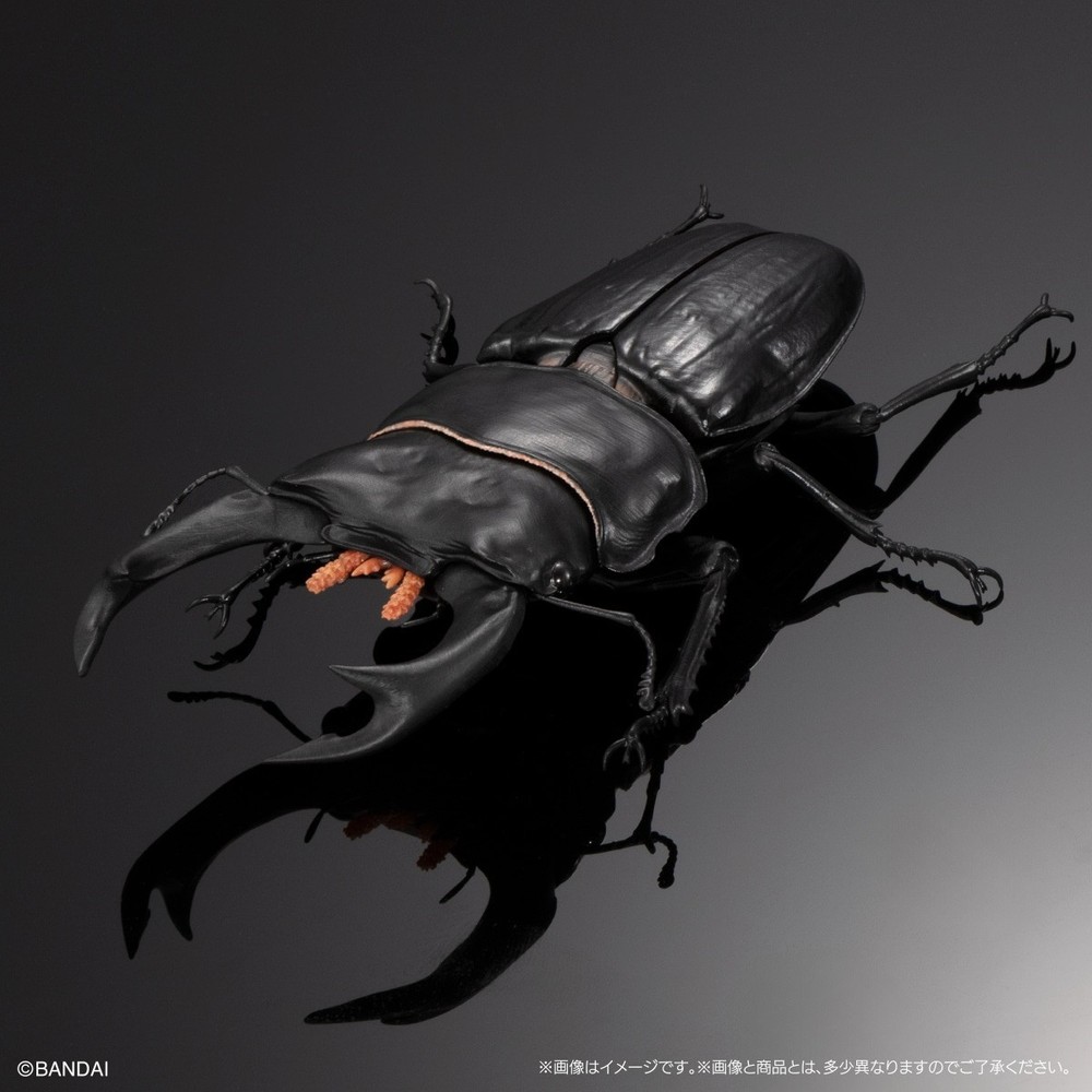 The Diversity of Life on Earth Advance Stag Beetle 02 w/ Display Stand & Wing