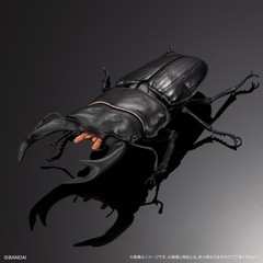 The Diversity of Life on Earth Advance Stag Beetle 02 w/ Display Stand & Wing