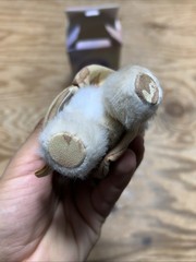 POP MART x Skullpanda L’impressionnisme Plush Doll Confirmed Figure Toy – Amber