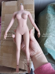 1:6 Female Makeup Seamless Body With detail Pale Skin Medium Breast 12″ Figure