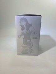 Donna Troy Bust Women of DC Universe Adam Hughes Limited Edition 5250/6000