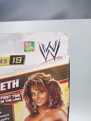 WWE Elite Series 19 Miss Elizabeth Action Figure See Description!!
