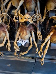 Disney Star Wars Salacious B. Crumb Monkey Lizard Shoulder Figure Galaxys Edge