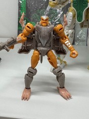 Hasbro Transformers War For Cybertron Kingdom Optimus Primal Rattrap Tigatron