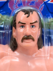 WWE Superstars JAKE “THE SNAKE” ROBERTS LJN Retro Target Blue Card Mattel Figure
