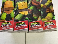 Playmates TMNT x WWE Ninja Superstars Series 2 Complete Set SEALED