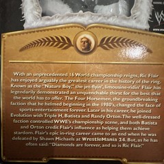 WWE Mattel “Nature Boy” Ric Flair Defining Moments Series 6