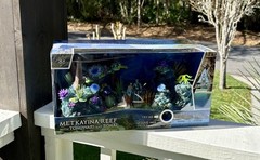 Avatar Metkayina Reef With Tonowari And Ronal; NIB, Lights Up