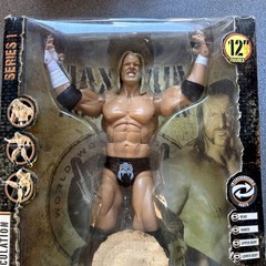 Big 12” WWE HHH Triple H Maximum Aggression Interchangeable Parts Limited RARE