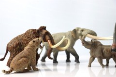 TNG Mammonteus Primigenius Model Elephant Animal Figure Toys Decor Xmas Gift