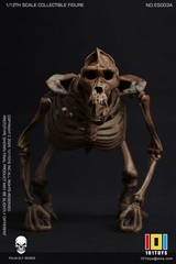 101TOYS ES003A 1/12 Original color CHIMPANZEE SKELETON FRAME BOBY Figure Toys