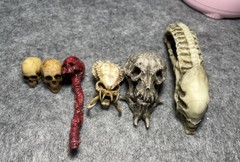 Alien Predator Skull Kit Neca Predator Loot Accessories Model Toy