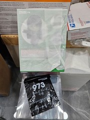 Nendoroid 973 Is Your Order a Rabbit? Chiya by GoodSmile Comp New & Sealed + Bon