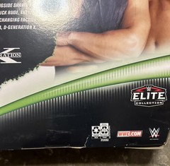 Mattel WWE D-Generation X Elite Collection.Chyna And Triple H