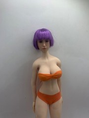Super Duck 1/6 Female Head Sculpt Purple Hair Seamless 12″ Doll Body Figure