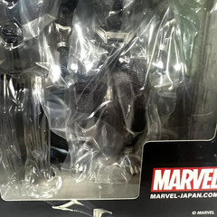 Kaiyodo AMAZING YAMAGUCHI Black Panther Action Fgure Complex Revoltech NEW