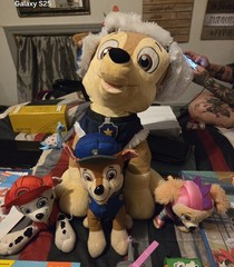 Huge Lot of Paw Patrol Figures, stuffed animals, books, mini paws, (see pics)