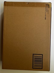 P-Bandai METAL BUILD Strike Rouge Gundam Ootori Striker Action Figure BRAND NEW