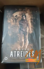 IN STOCK New AUG TOYS DL003 1/6 Paul Atreides Chalamet 12″ Action Figure