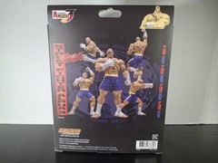 Storm Arena Street Fighter Alpha 3 Sagat Action Figure Complete