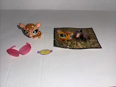 Littlest Pet Shop LPS #1007 – Authentic Postcard Pets – Tattoo Armadillo