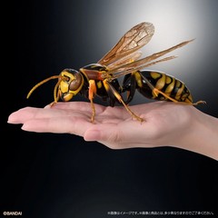 The Diversity of Life on Earth Advance Paper Wasp Bulldog Ant Bandai Capsule Toy