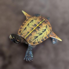 Kaiyodo Turtle Figure Set of 5 Collectible Sea Creatures, Varies in Size