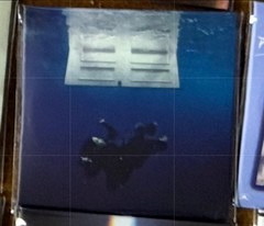 NEW Mini Brands Really Works VINYL Set ~ You Pick ~