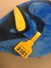Disney Store Dory Plush – Finding Dory – Medium 17” – NEW with Original Tags