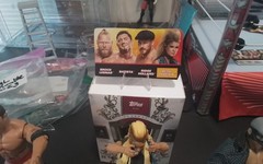 2024 WWE Mattel Royal Rumble lot Batista Beth Phoenix & Ridge Holland