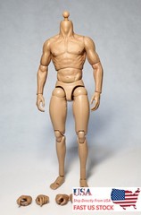 ZC Toys 1/6th Muscular Flexible Male Figure Body Fit 12″ Hot Head Sculpt Model