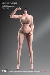 US 1/6 Female Suntan Big Bust Plump Silicone Seamless Body For 12″ Action Figure