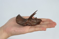 PNSO 1/35 New Version Triceratops Model Adult Children Toys Gift Dinosaur Figure