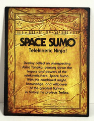 Mattel MOTU 40th Rulers of The Sun SPACE SUMO 5.5in Action Figure W/Accessories