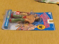 LJN Titan Sports WWF Wrestling Superstars Terry Funk W/ Case, Card & Poster 1986