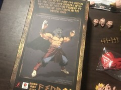 SH Figuarts Dragon Ball Z Red Bolt X Lion Heart SSJ Broly