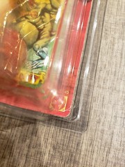 1983 Vintage Masters of the Universe Teela MOTU MOC Sealed + Figure Shield Case