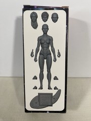 Vitruvian H.a.c.k.s. Gargoyle Gray Grey Blank Female 1:18 Figure Hacks Boss Figh