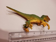 velociraptor action figure 5 1/2 inches. Made in china