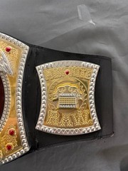 WWE Wrestling Champion Monday Night Raw Lights and Sound Belt Te