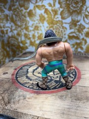 WWF Jake the Snake Roberts with Damien Hasbro Series 1 Figure WWE 1990