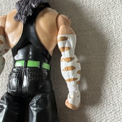2005 WWE Jakks Pacific Jeff Hardy Deluxe Aggression Action Figure Series 21 WWF