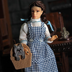 Action Figure, 8” Wizard of Oz – Dorothy (1St Time Available in Single Pack) (Li